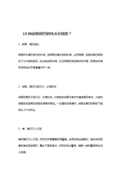 十种小动物尾巴的特点