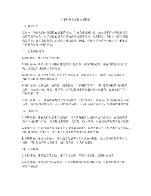 乡下种菜创业计划书模板