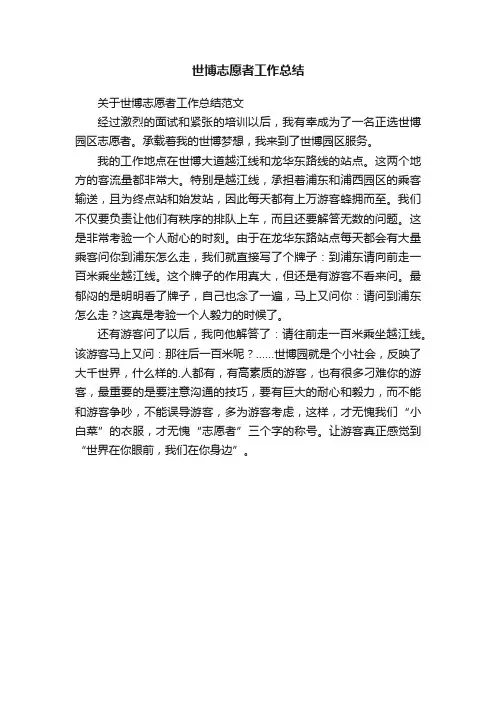 世博志愿者工作总结