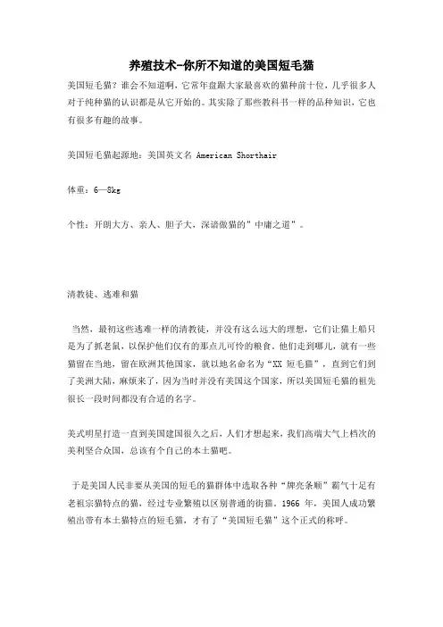 养殖技术-你所不知道的美国短毛猫