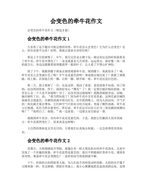 会变色的牵牛花作文