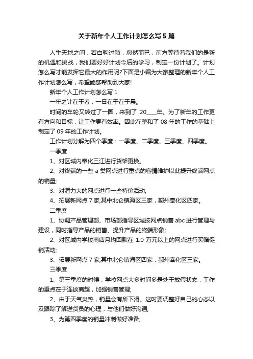 关于新年个人工作计划怎么写5篇