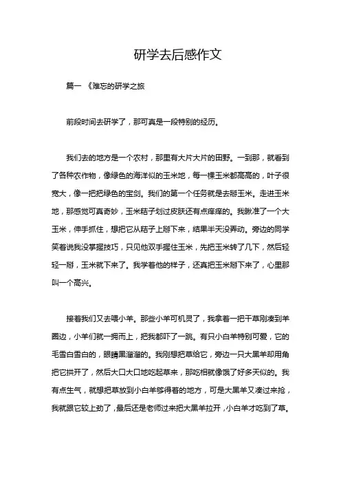 研学去后感作文