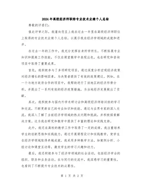 2024年高级经济师职称专业技术业绩个人总结