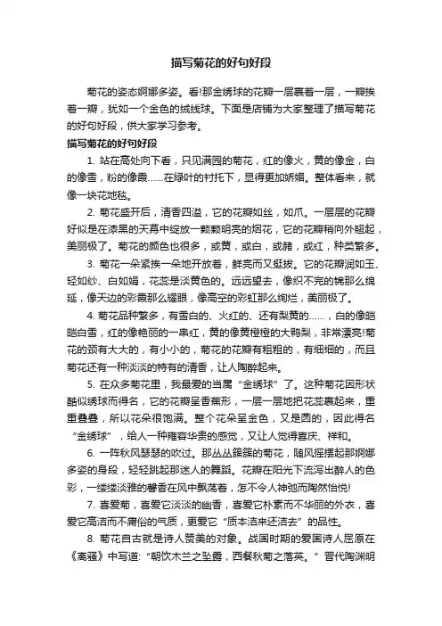 描写菊花的好句好段
