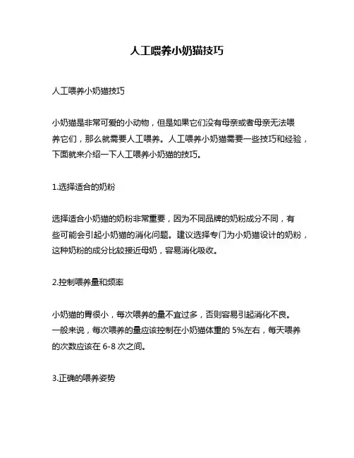 人工喂养小奶猫技巧