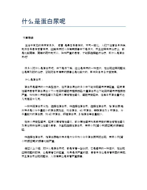 什么是蛋白尿呢【医学养生常识】