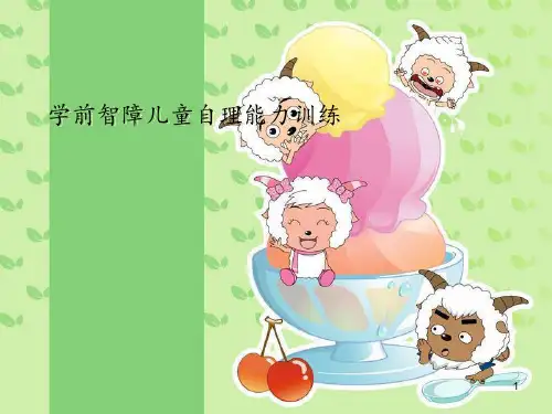 自理能力训练 ppt课件