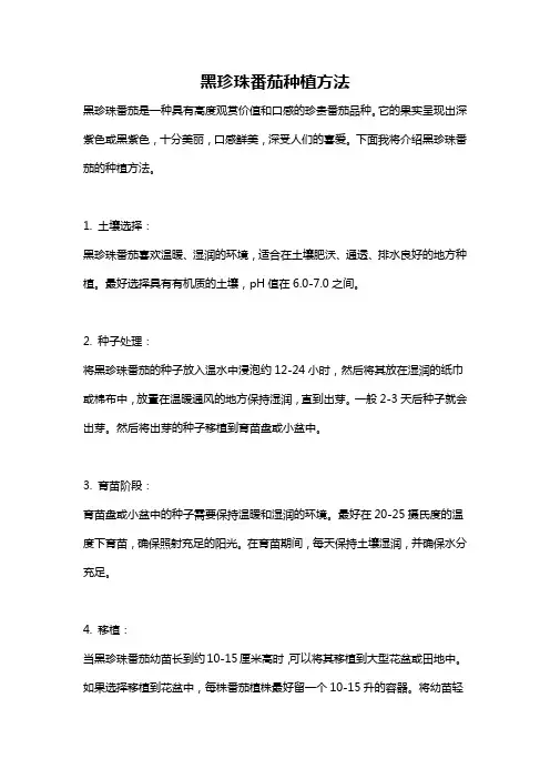 黑珍珠番茄种植方法