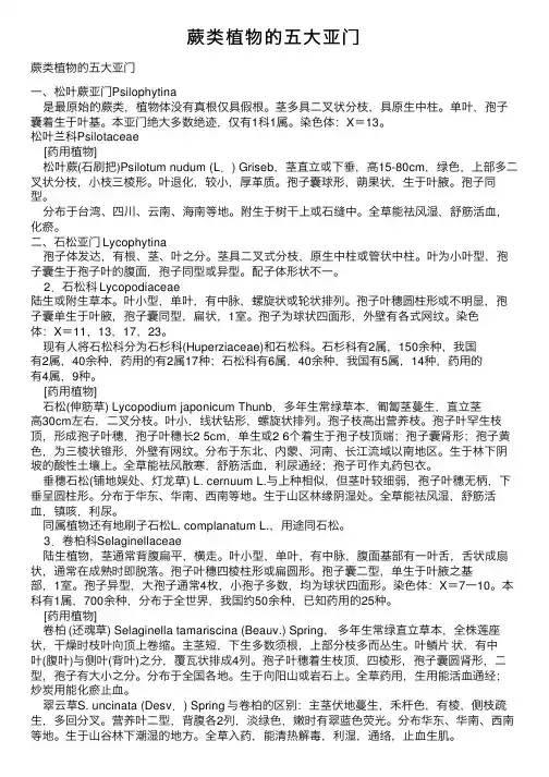蕨类植物的五大亚门