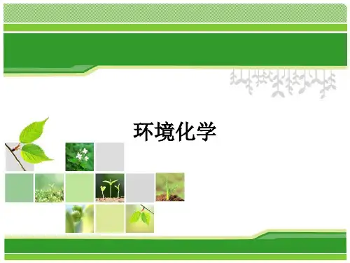 环境化学ppt课件