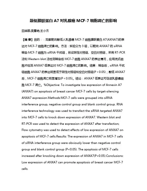 敲低膜联蛋白A7对乳腺癌MCF-7细胞凋亡的影响