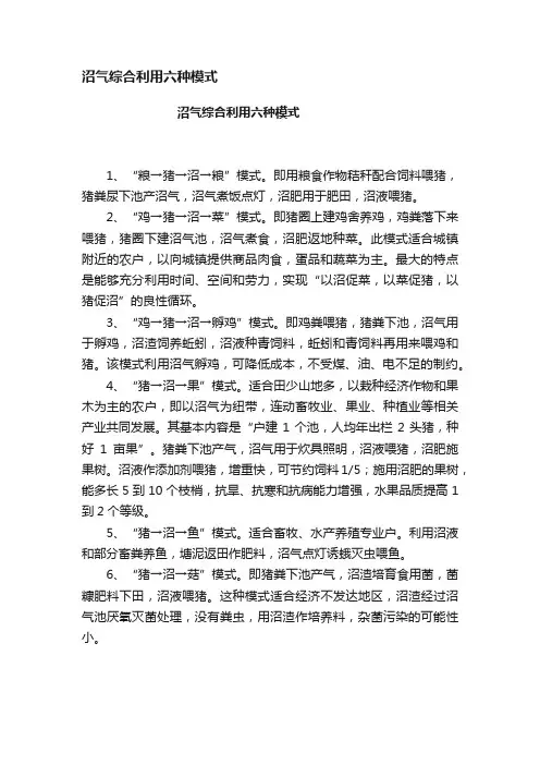 沼气综合利用六种模式