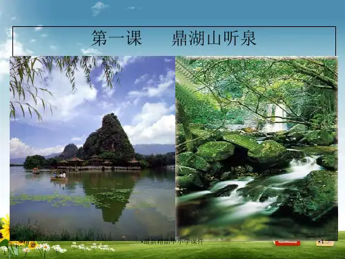 九年级语文上册第一单元1鼎湖山听泉课件苏教版