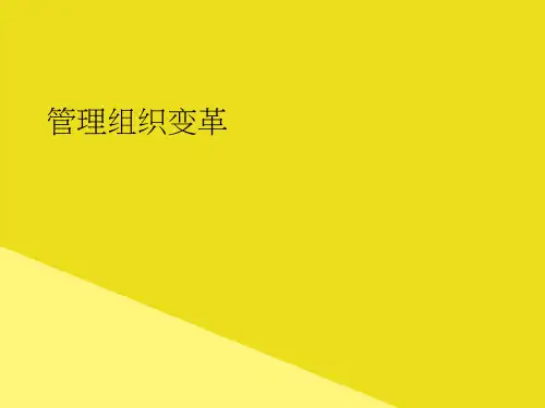 管理组织变革PPT资料(正式版)