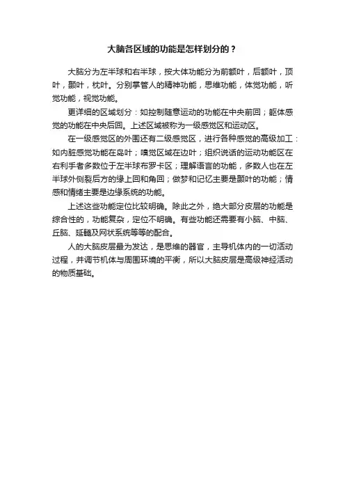 大脑各区域的功能是怎样划分的？