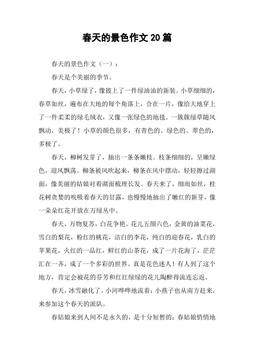 春天的景色作文20篇