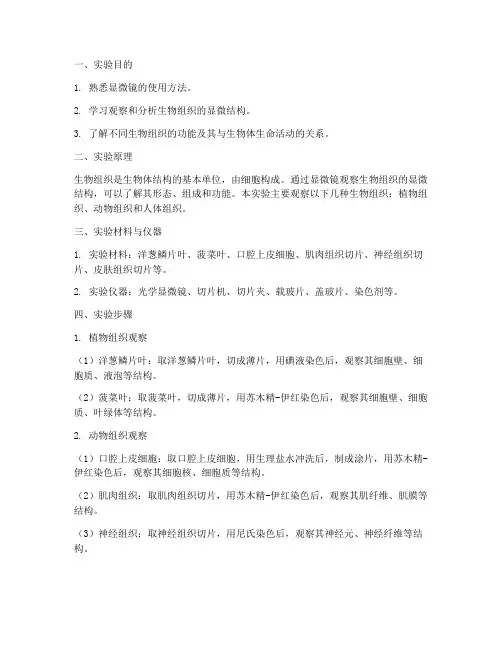 组织观察实验报告