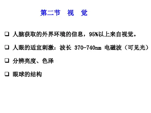 第二节视觉-精选.ppt