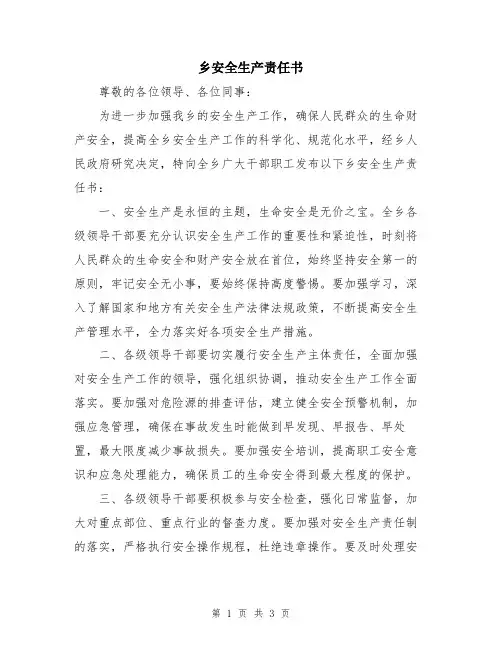 乡安全生产责任书