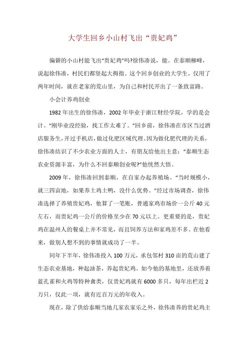 大学生回乡 小山村飞出“贵妃鸡”
