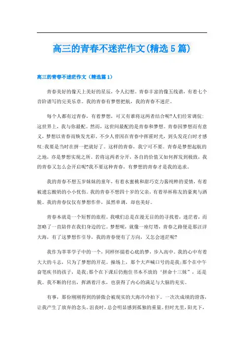 高三的青春不迷茫作文(精选5篇)