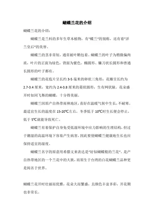 蝴蝶兰花的介绍