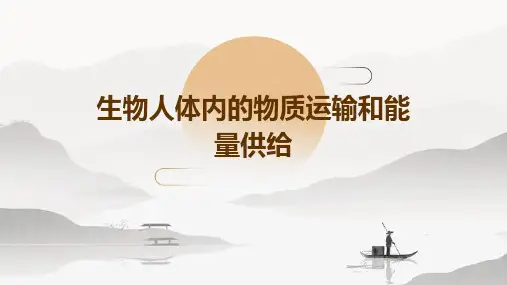生物人体内的物质运输和能量供给