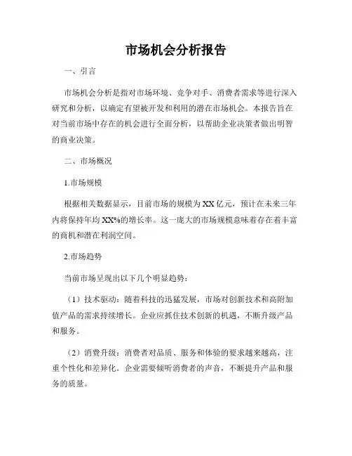 市场机会分析报告