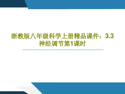浙教版八年级科学上册精品课件：3.3神经调节第1课时共26页文档