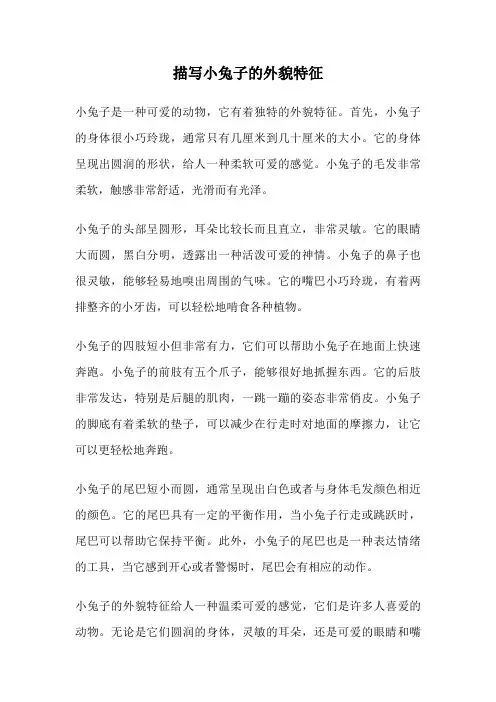 描写小兔子的外貌特征
