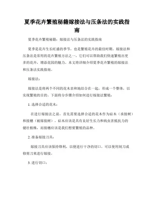 夏季花卉繁殖秘籍嫁接法与压条法的实践指南