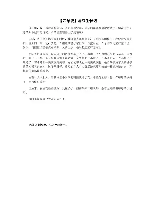 【四年级】扁豆生长记