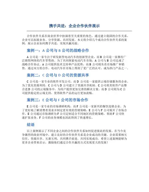 携手共进：企业合作伙伴展示