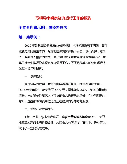 写领导来视察经济运行工作的报告