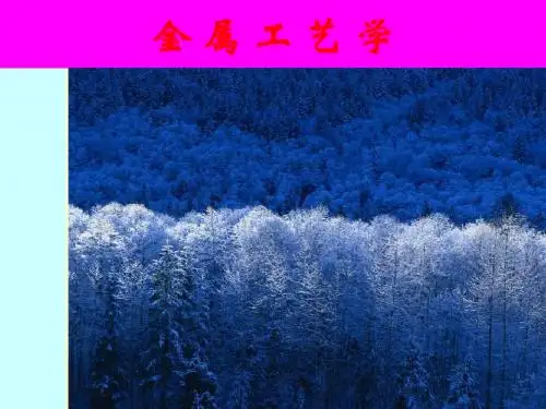金属材料与热处理