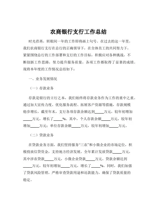 农商银行支行工作总结