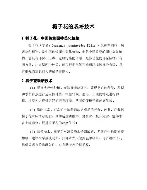 栀子花的栽培技术