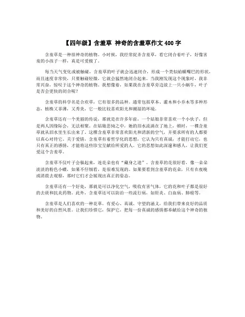 【四年级】含羞草 神奇的含羞草作文400字