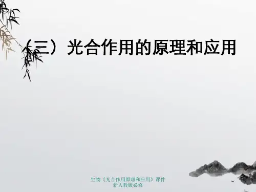 生物《光合作用原理和应用》课件新人教版必修