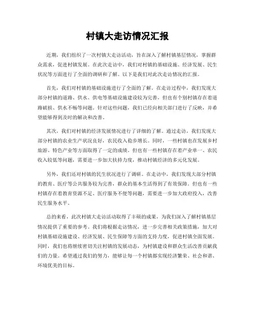 村镇大走访情况汇报