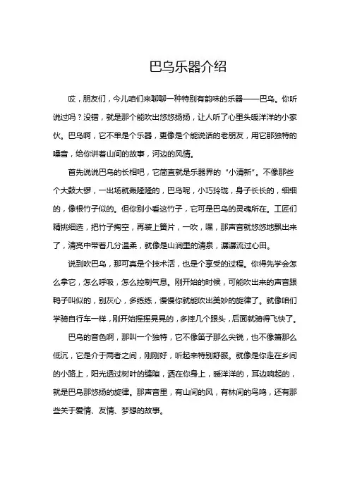 巴乌乐器介绍