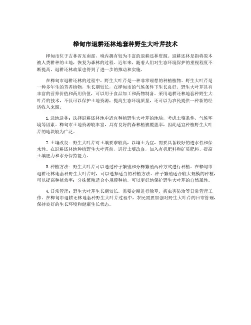 桦甸市退耕还林地套种野生大叶芹技术