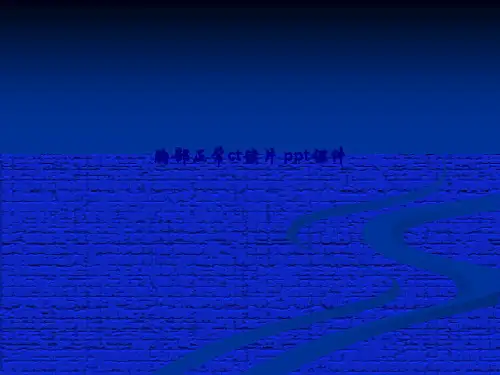 胸部正常ct读片  SS