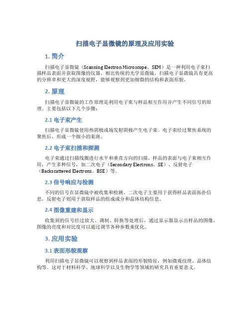 扫描电子显微镜的原理及应用实验