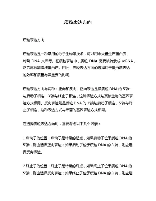 质粒表达方向