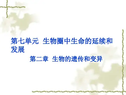 2015年中考生物复习课件 第七单元-第二章 生物的遗传和变异