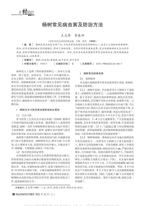 杨树常见病虫害及防治方法
