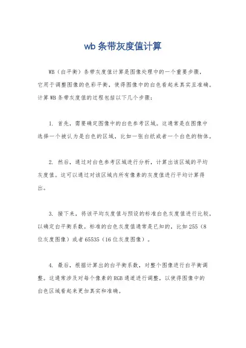 wb条带灰度值计算