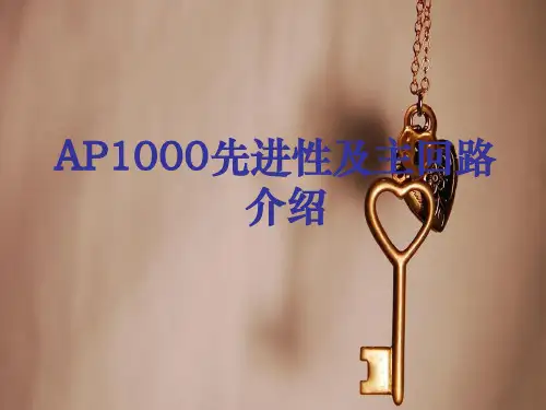 AP1000先进性及主回路介绍